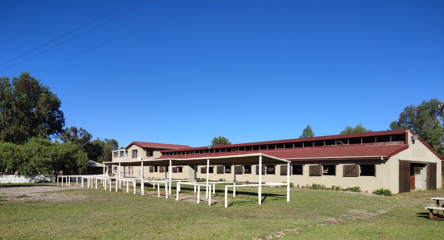 10 Bedroom Property for Sale in Philadelphia Western Cape